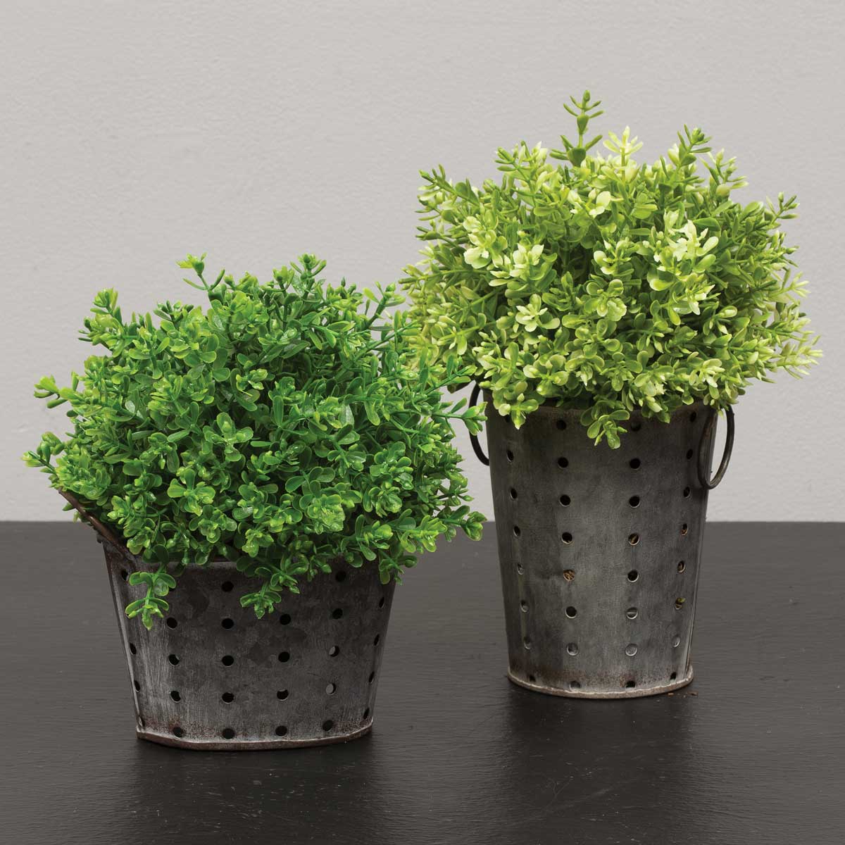 BALL DOME BOXWOOD DARK GREEN 6IN X 8IN - Click Image to Close